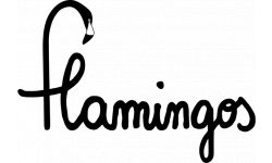 FLAMINGOS