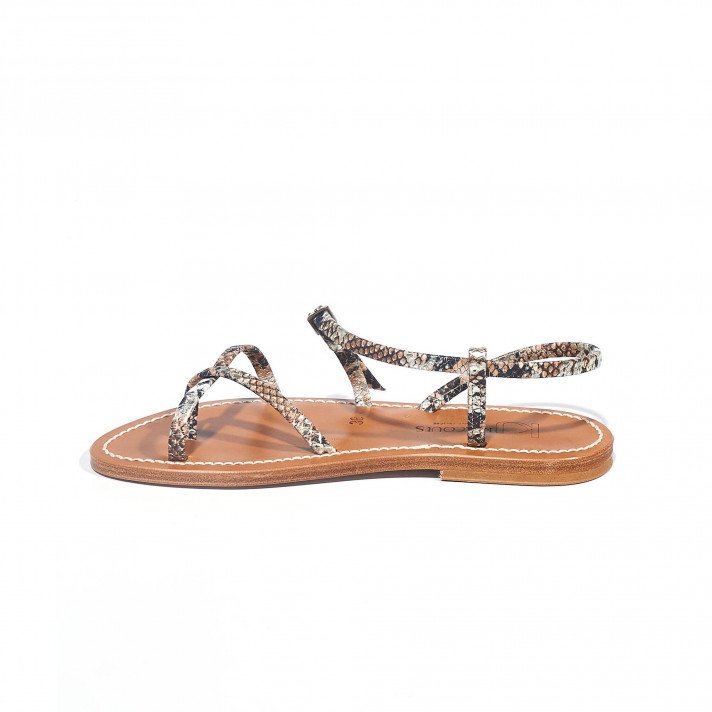 Calcutta python KJACQUES