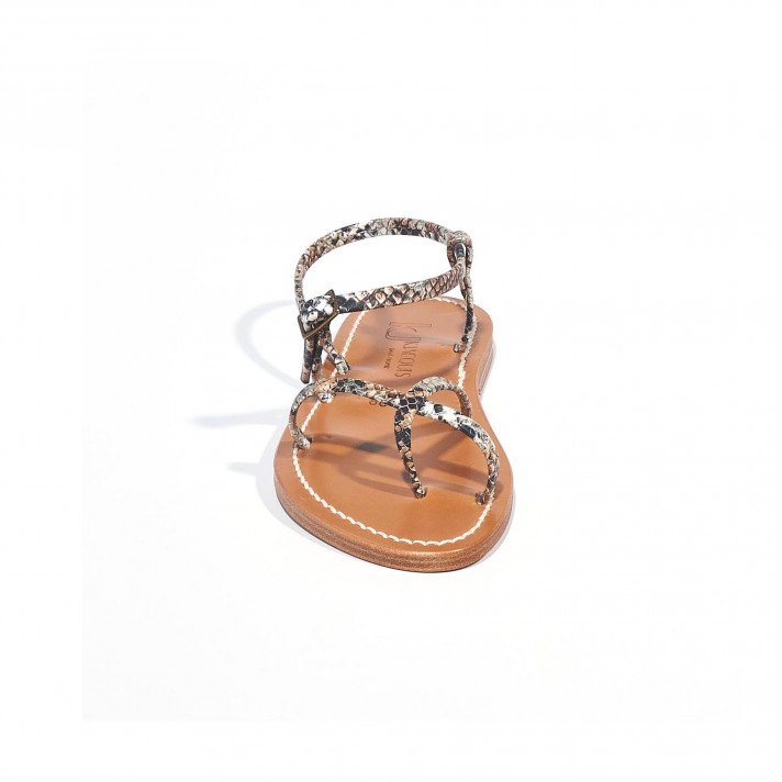 Calcutta python KJACQUES