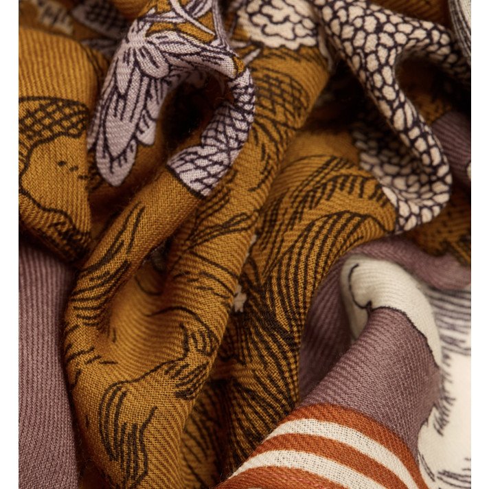 ETOLE 70 HISTOIRE ORANGE INOUI EDITIONS