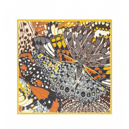 CARRE 65 PAPILLONS NATUREL INOUI EDITIONS