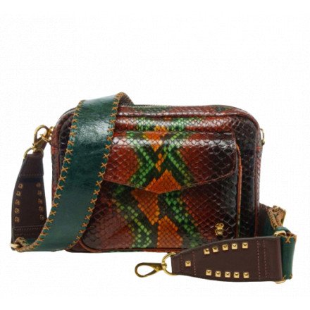 BIG CHARLY PYTHON OASIS CLARIS VIROT