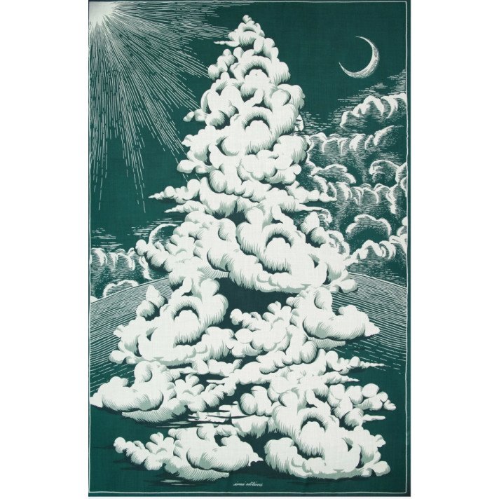 ETOLE 130 HIVER VERT INOUÏ EDITIONS