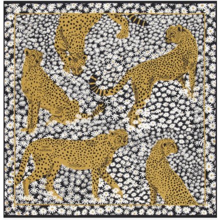 CARRE 65 PAMPA NOIR INOUI ÉDITIONS