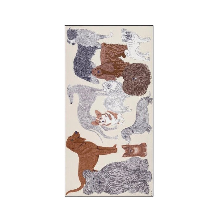 ETOLE 100 TOUTOU BLANC INOUI EDITIONS