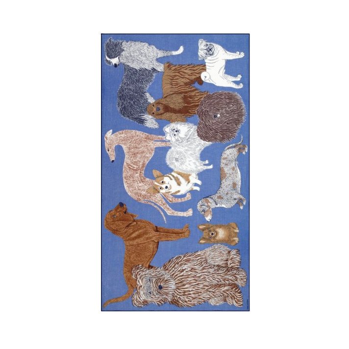 ETOLE 100 TOUTOU BLEU INOUI EDITIONS