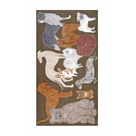 ETOLE 100 TOUTOU GRIS KAKI INOUI EDITIONS