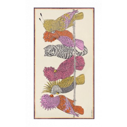 ETOLE 100 CARACAT BLANC INOUI EDITIONS