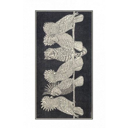 ETOLE 100 CARACAT NOIR INOUI EDITIONS