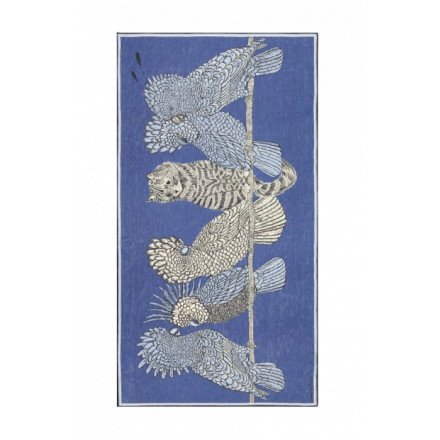 ETOLE 100 CARACAT BLEU INOUI EDITIONS